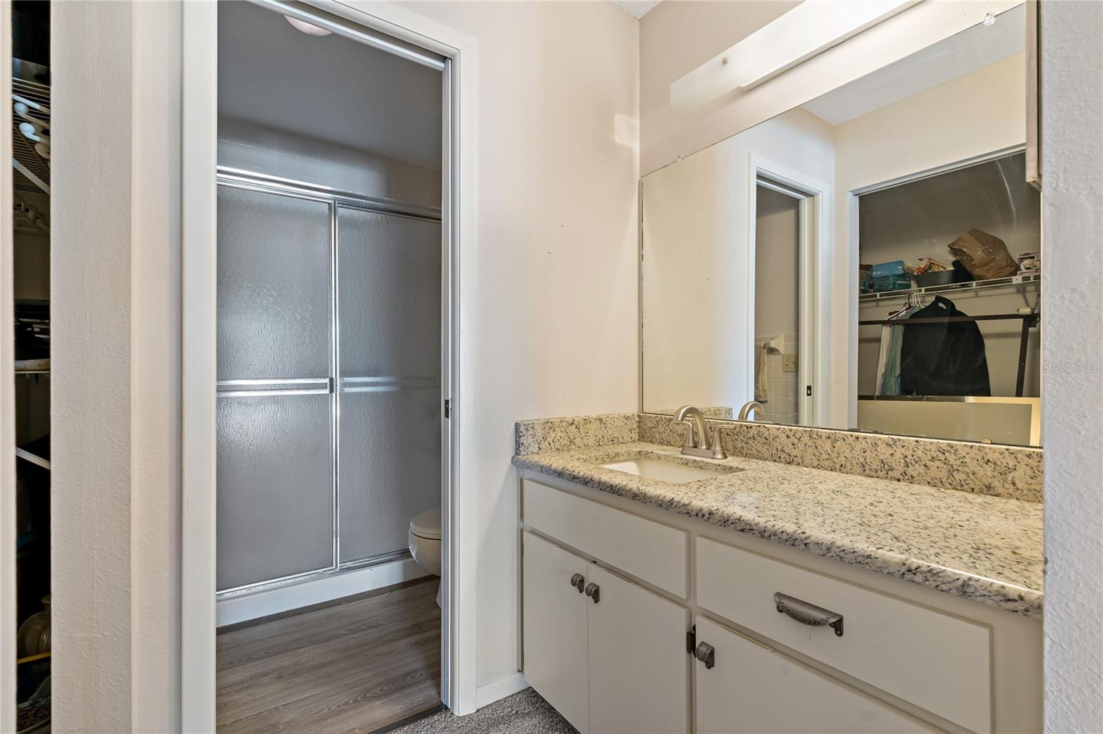 Primary Bath Vanity Area