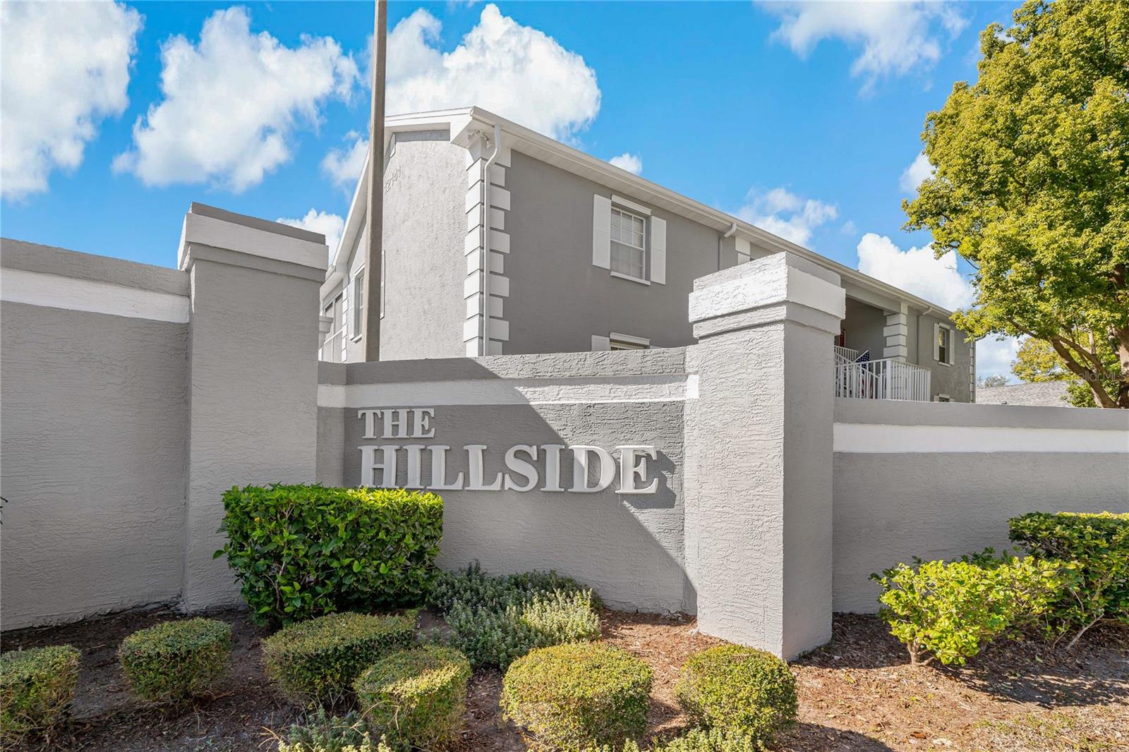 THE HILLSIDE 55+ Community