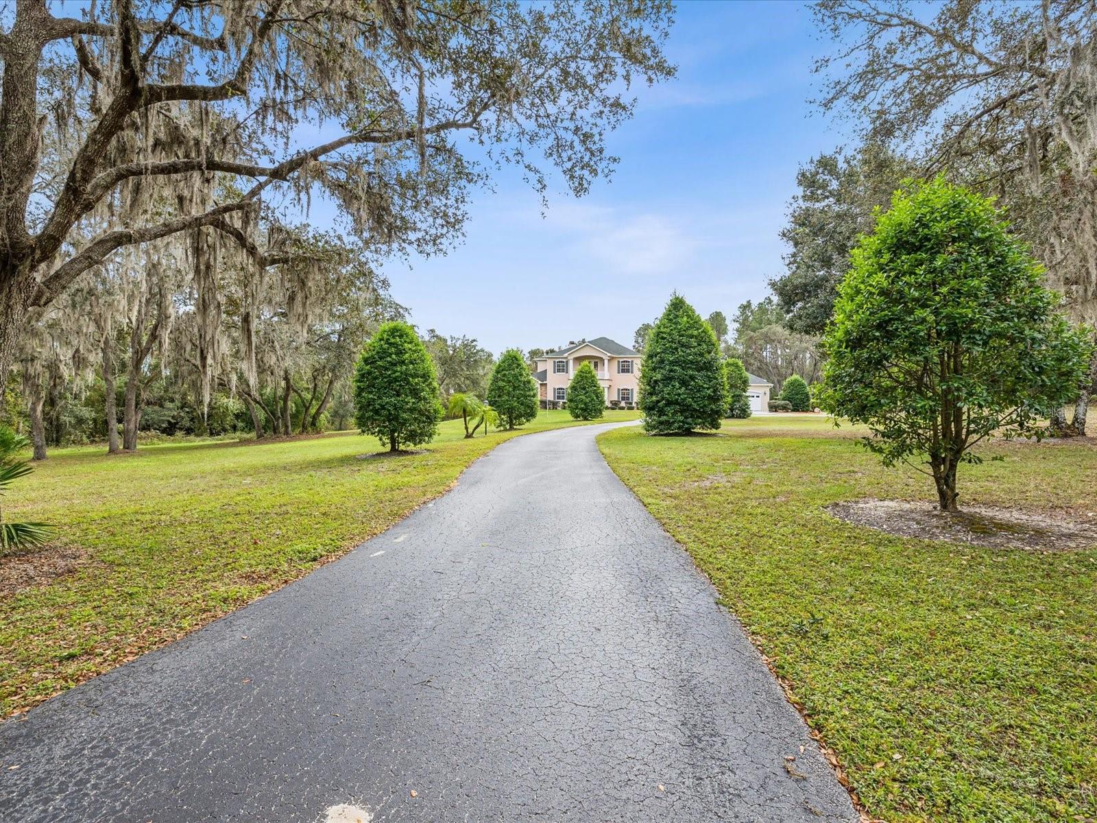 Your dream of long driveway to a opulent estate