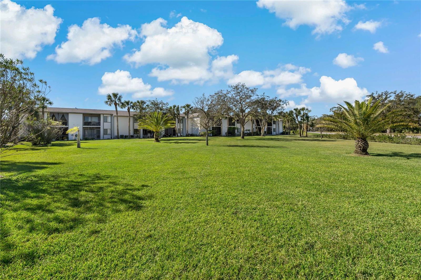 LOTS OF YARD/GREEN SPACE BEHIND BUILDING 2