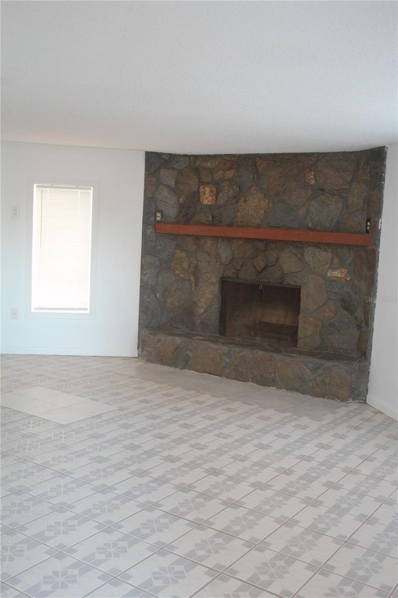 Fireplace in Rear Family room