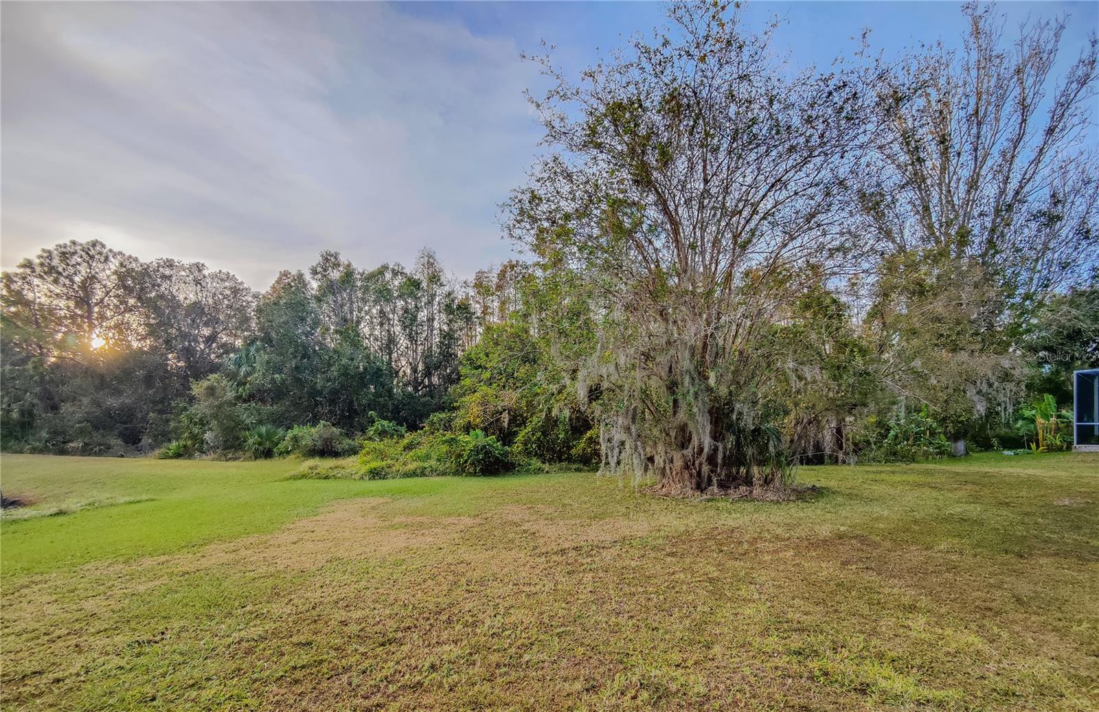 Pond and conservation view