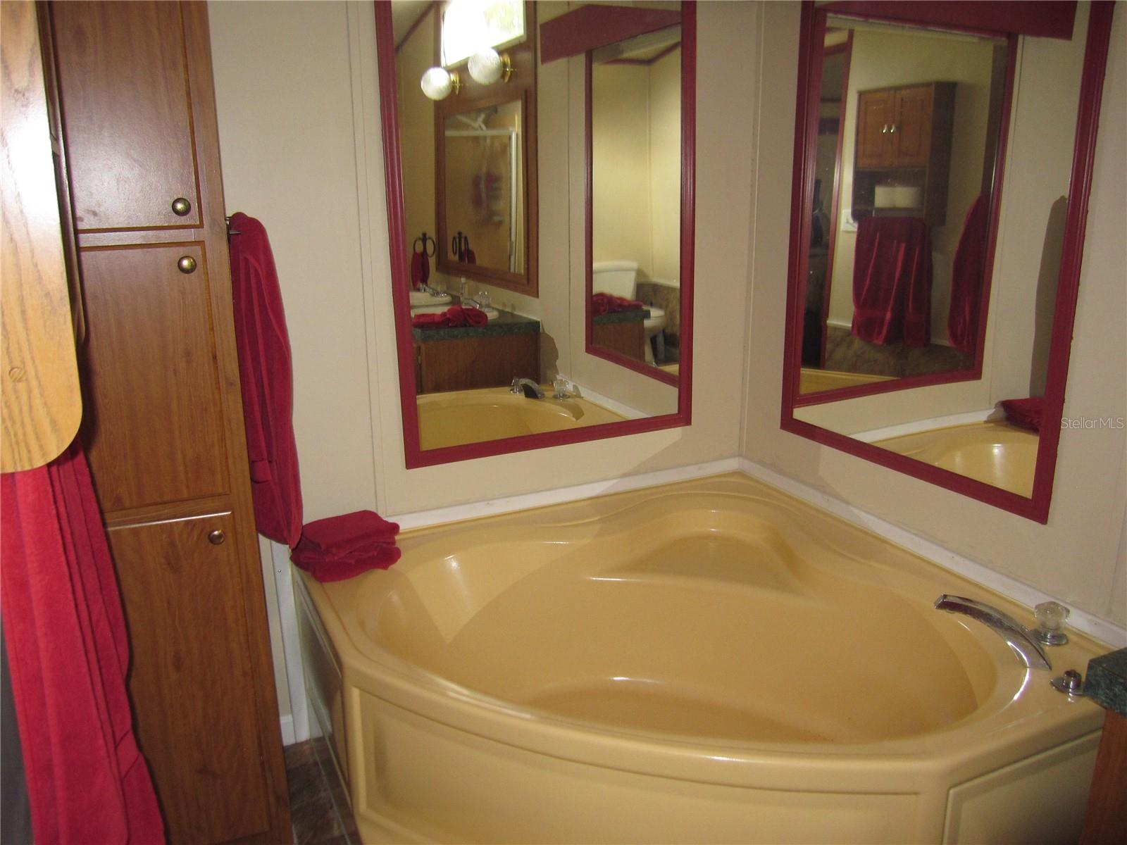 Garden Tub in Master Bath