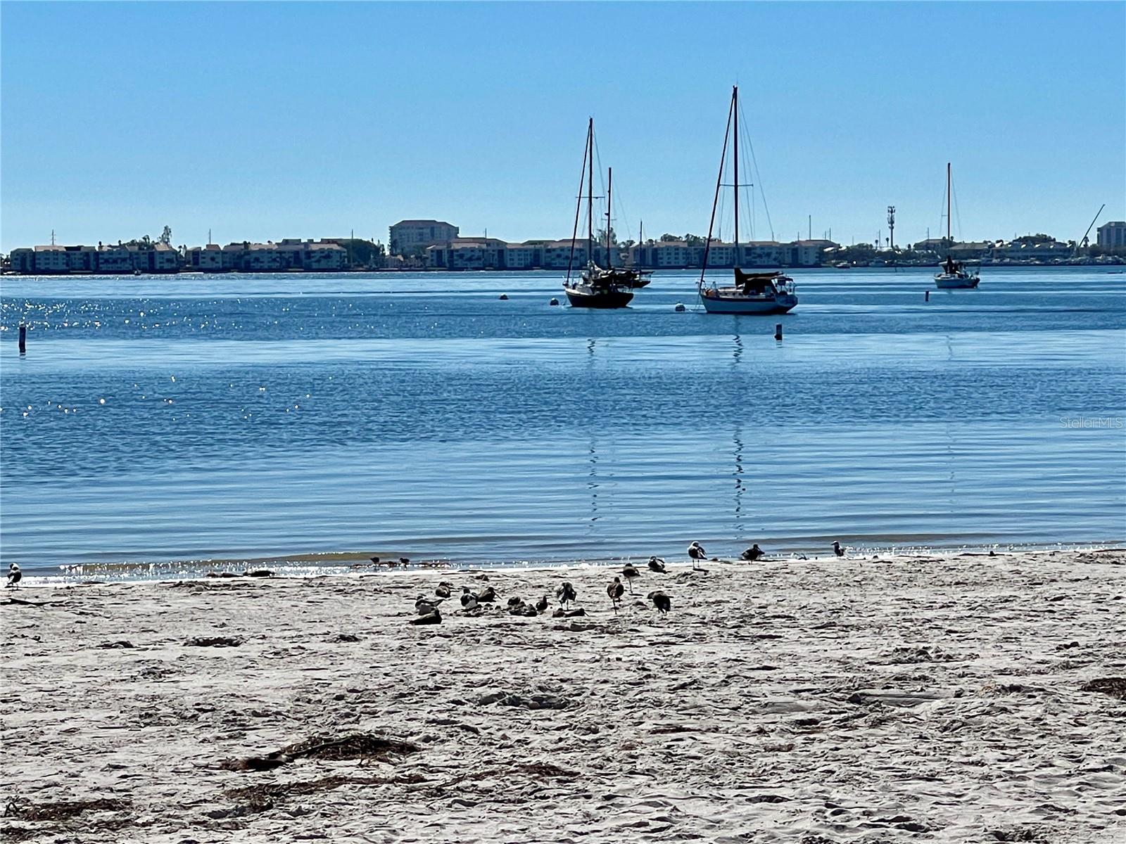 What a beautiful day Gulfport beach!!!