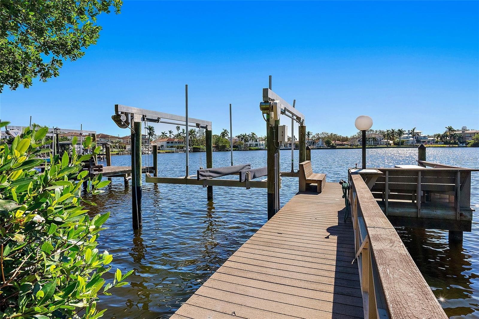 Mangroves surrounding your walk on the dock