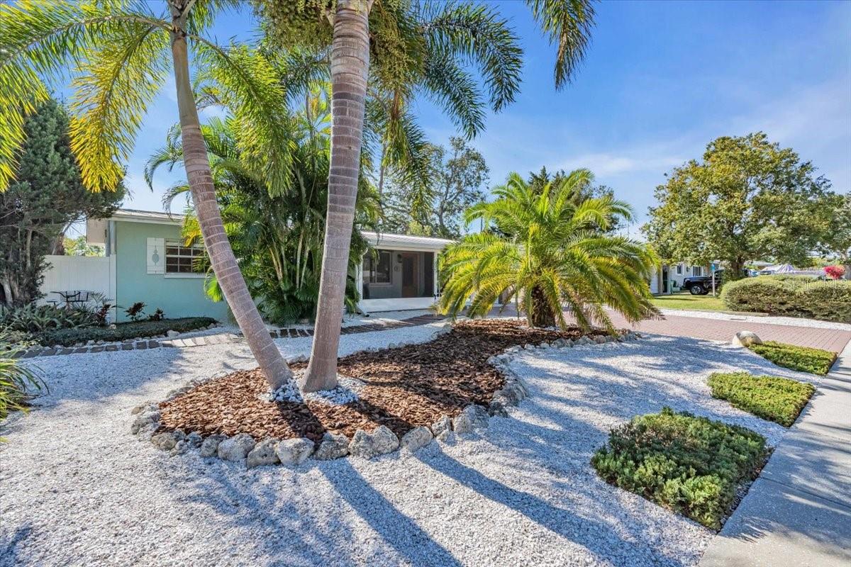 Mid Century Coastal Ranch 3 miles from Madeira Beach. Landscaping with mature palm trees, paved driveway