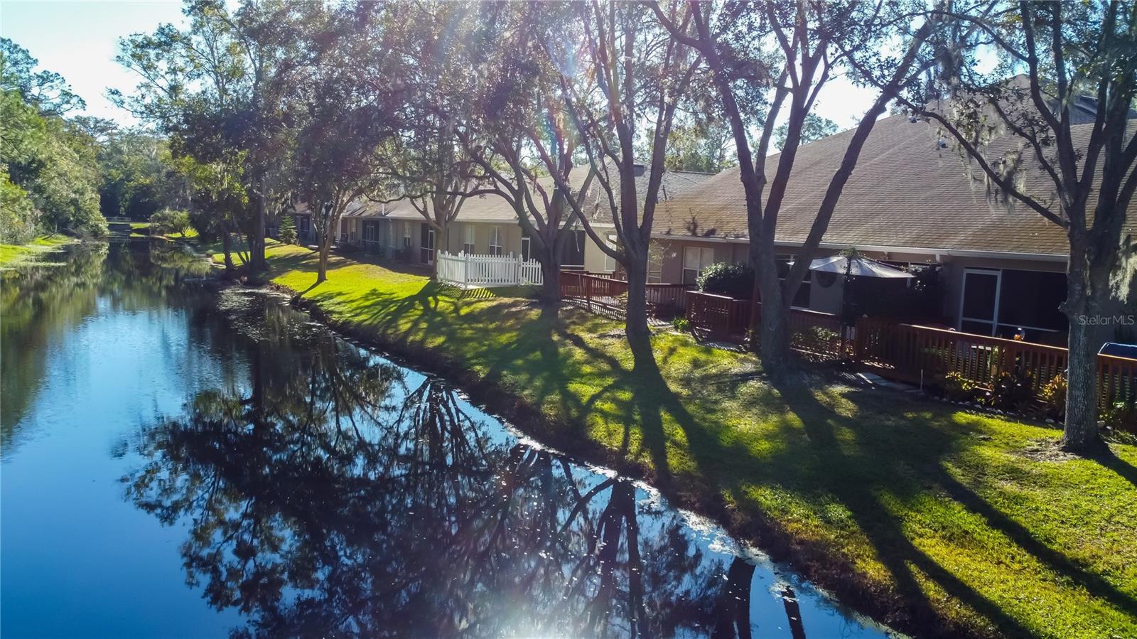 15. Neighbors Along Brooker Creek, Looking Eastward ..