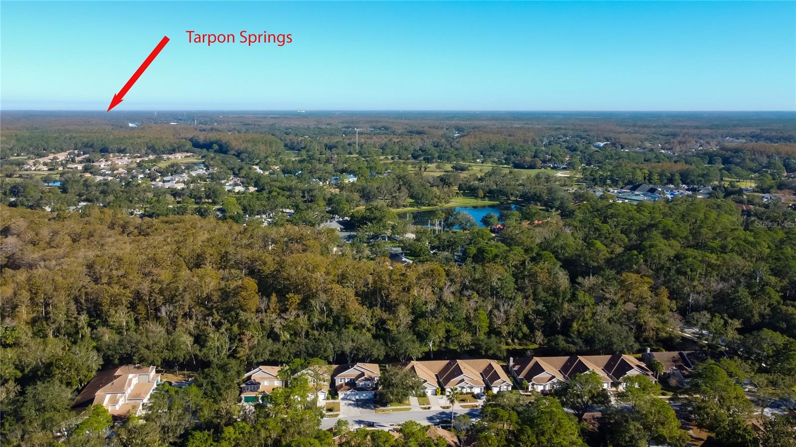 7..... Nearby is Lake Tarpon.. the Creek this Home Rests on is a Stream from Lake Tarpon