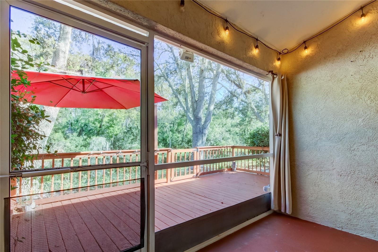 74a. Partially Enclosed Lanai (6.9' x 11.5') w/ Vault Ceiling & A++ View of Brooker Creek!