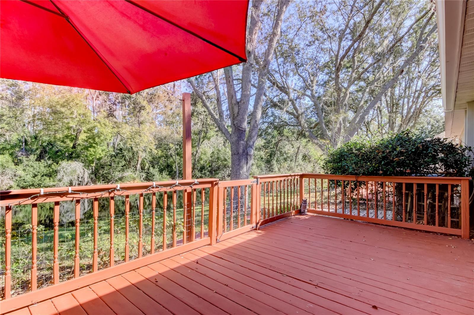 75. Outdoor Deck Freshly Refurbished.. Beautiful Close Up Views of Brooker Creek Rolling By..