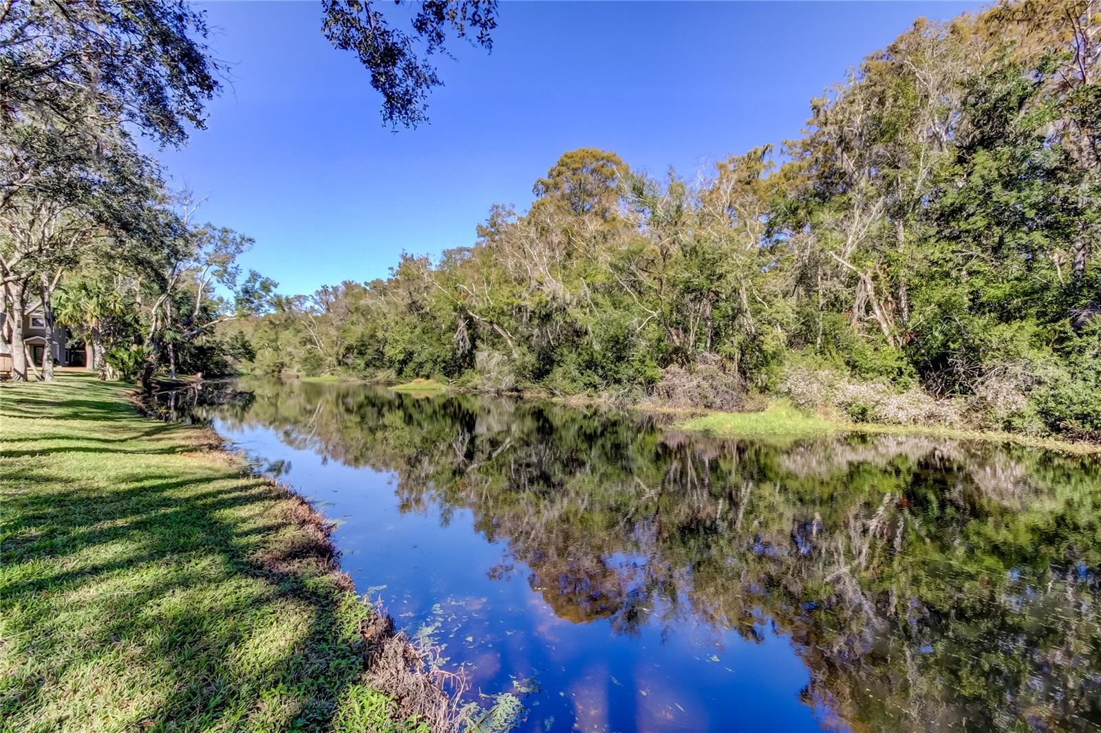 80. Brooker Creek Moves so Slowly it Creates a Mirrored Effect, Like a Lake!