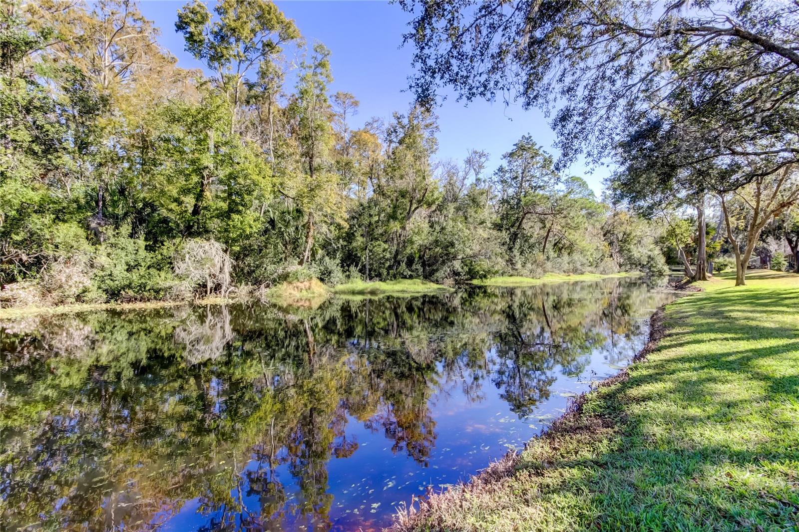 81 Brooker Creek Moves so Slowly it Creates a Mirrored Effect, Like a Lake!