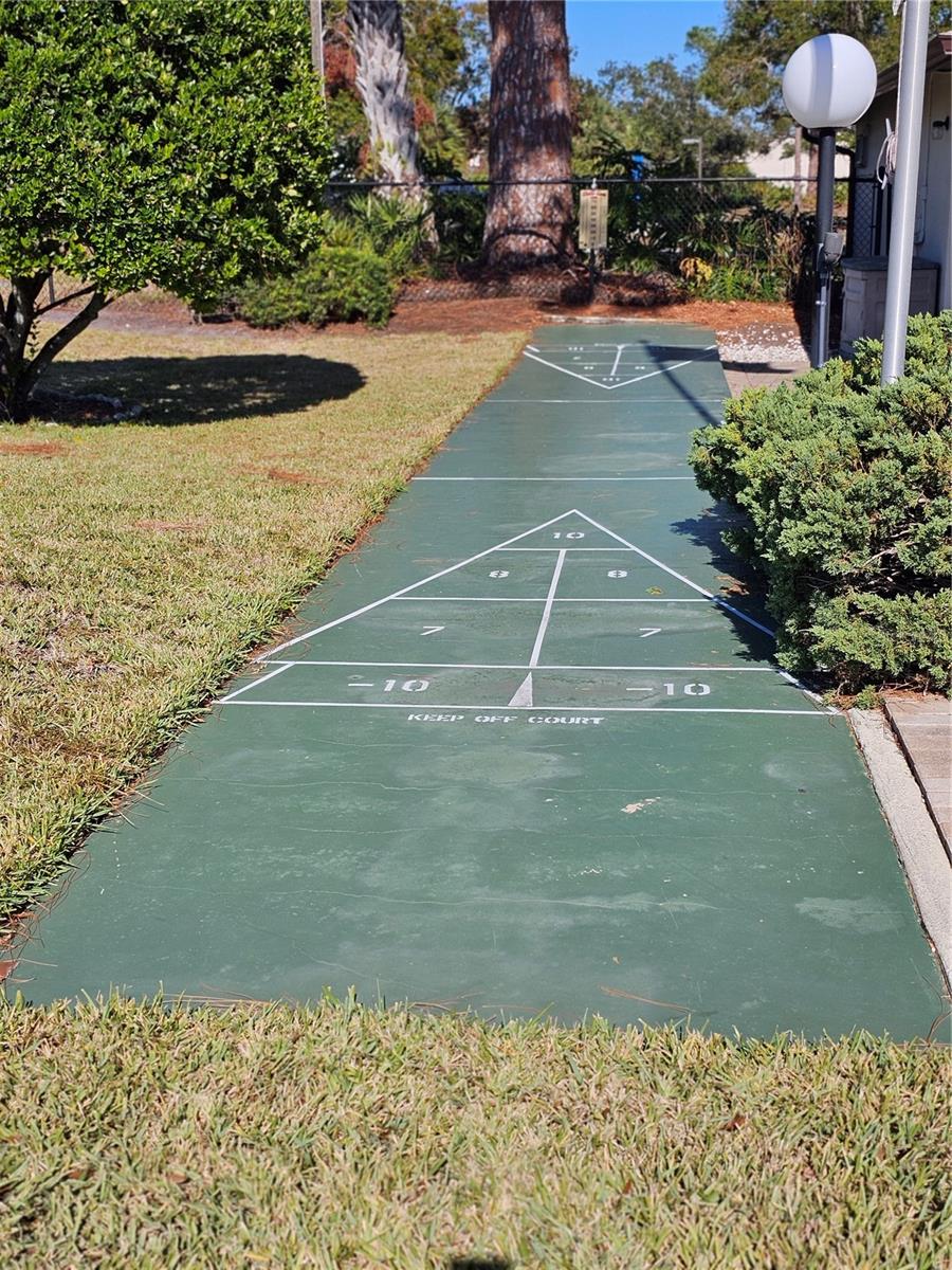 Community shuffleboard