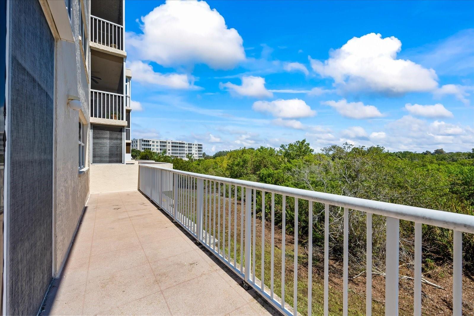 Views from the extra large balcony