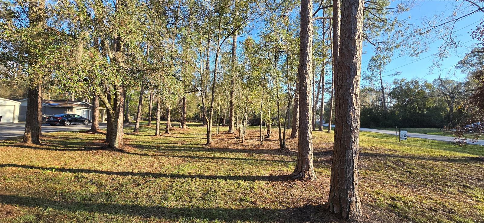 A beautiful piece of land in Wesley Chapel