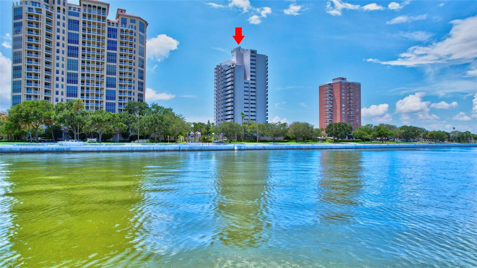 Left to right condos on Bayshore Blvd :  The Bellamy, The Pinnacle and Bayshore Towers