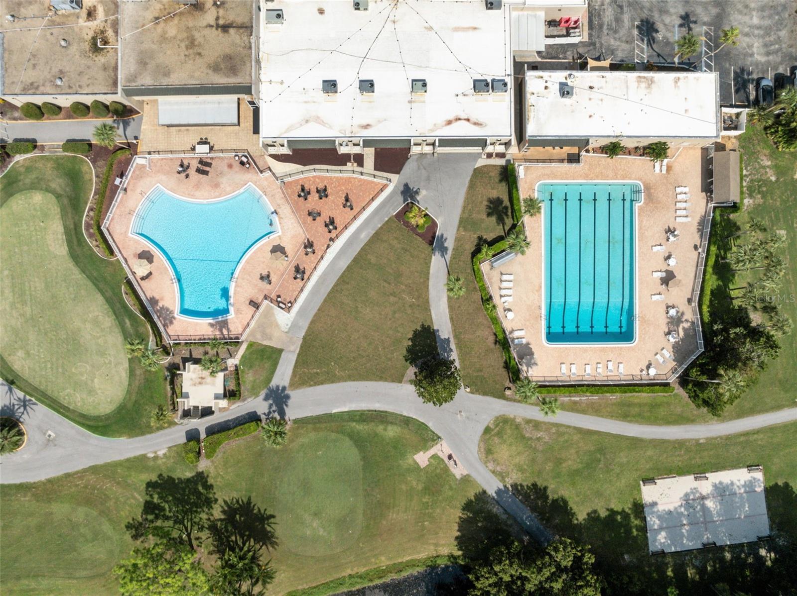 Community Lap and Lounging Pools