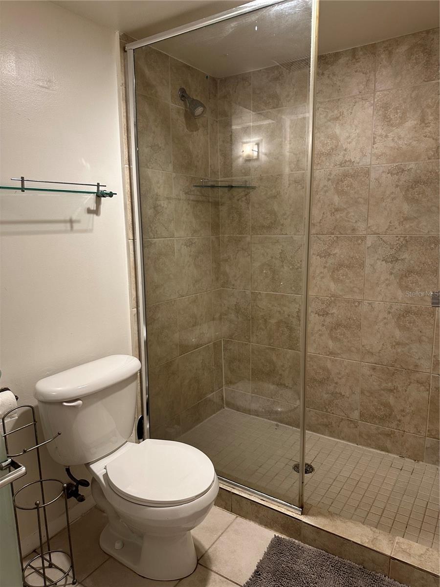 Master bath shower