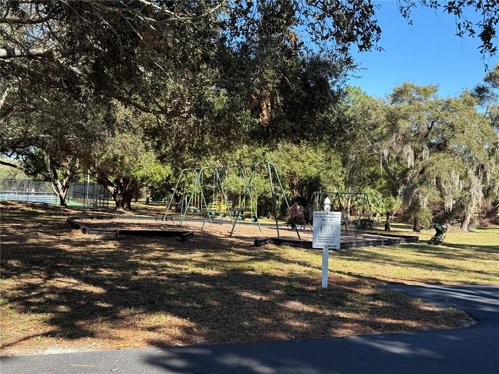 Community playground equipment