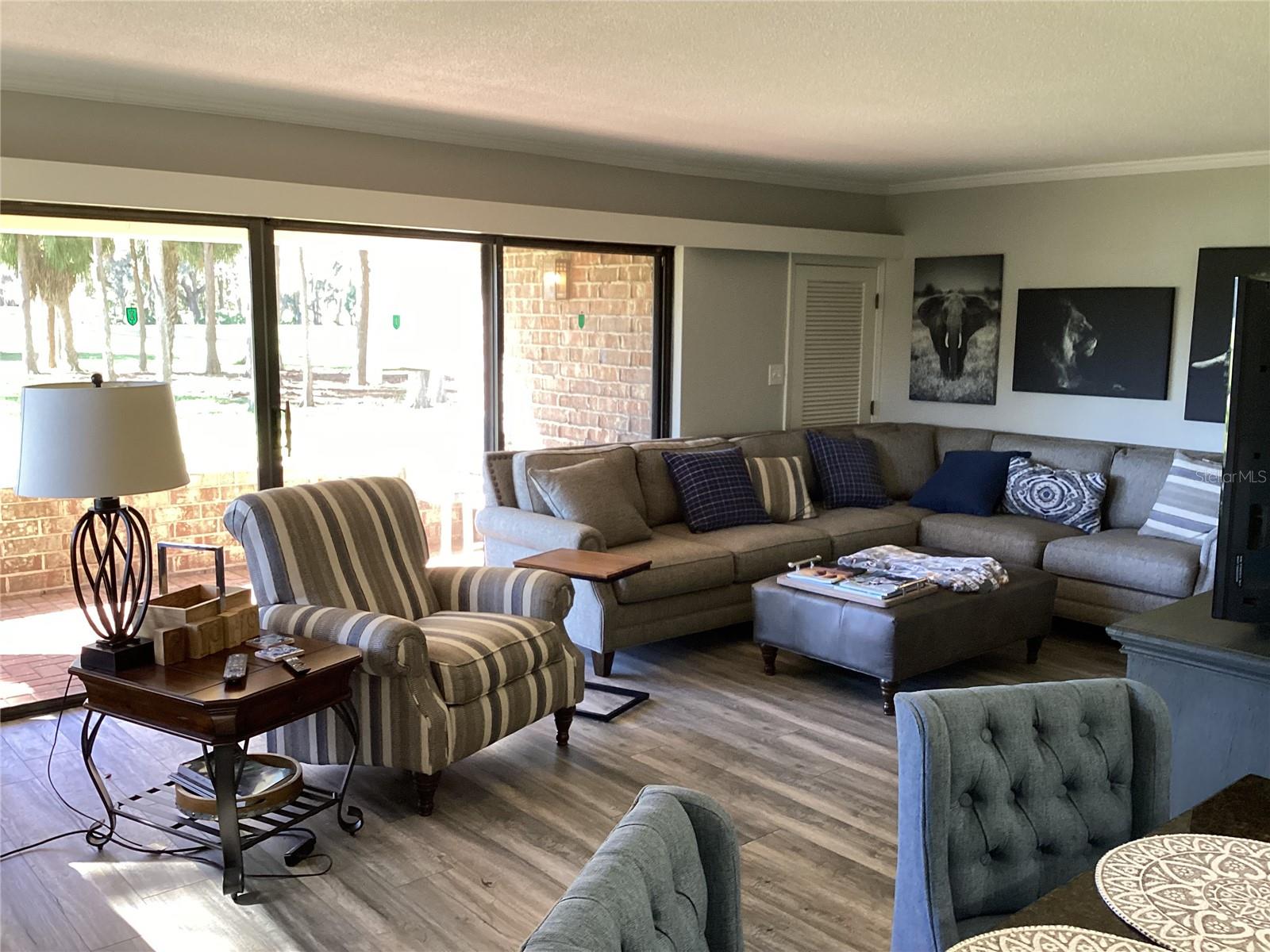 Living room with extra storage space behind door in corner.