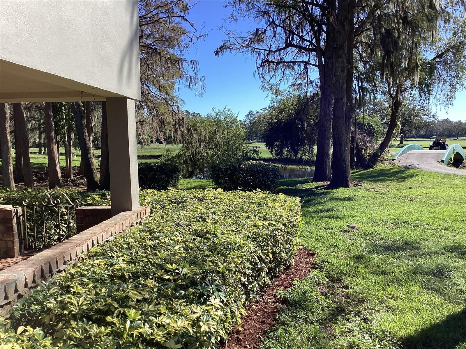 View from patio towards Golf course.