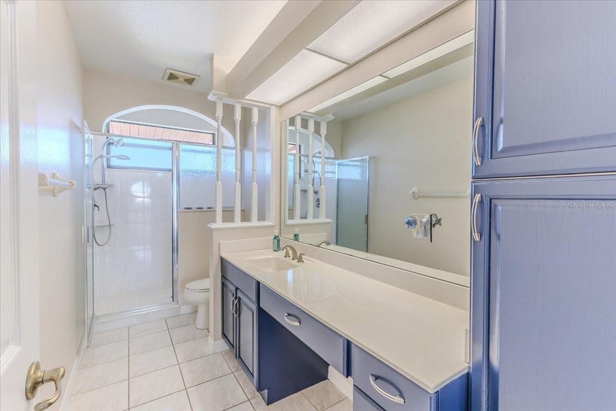 Guest Bathroom with Walk in Shower