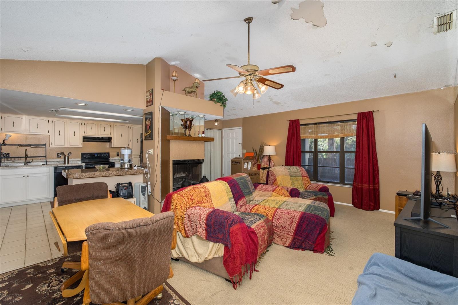 Living Room and Kitchen