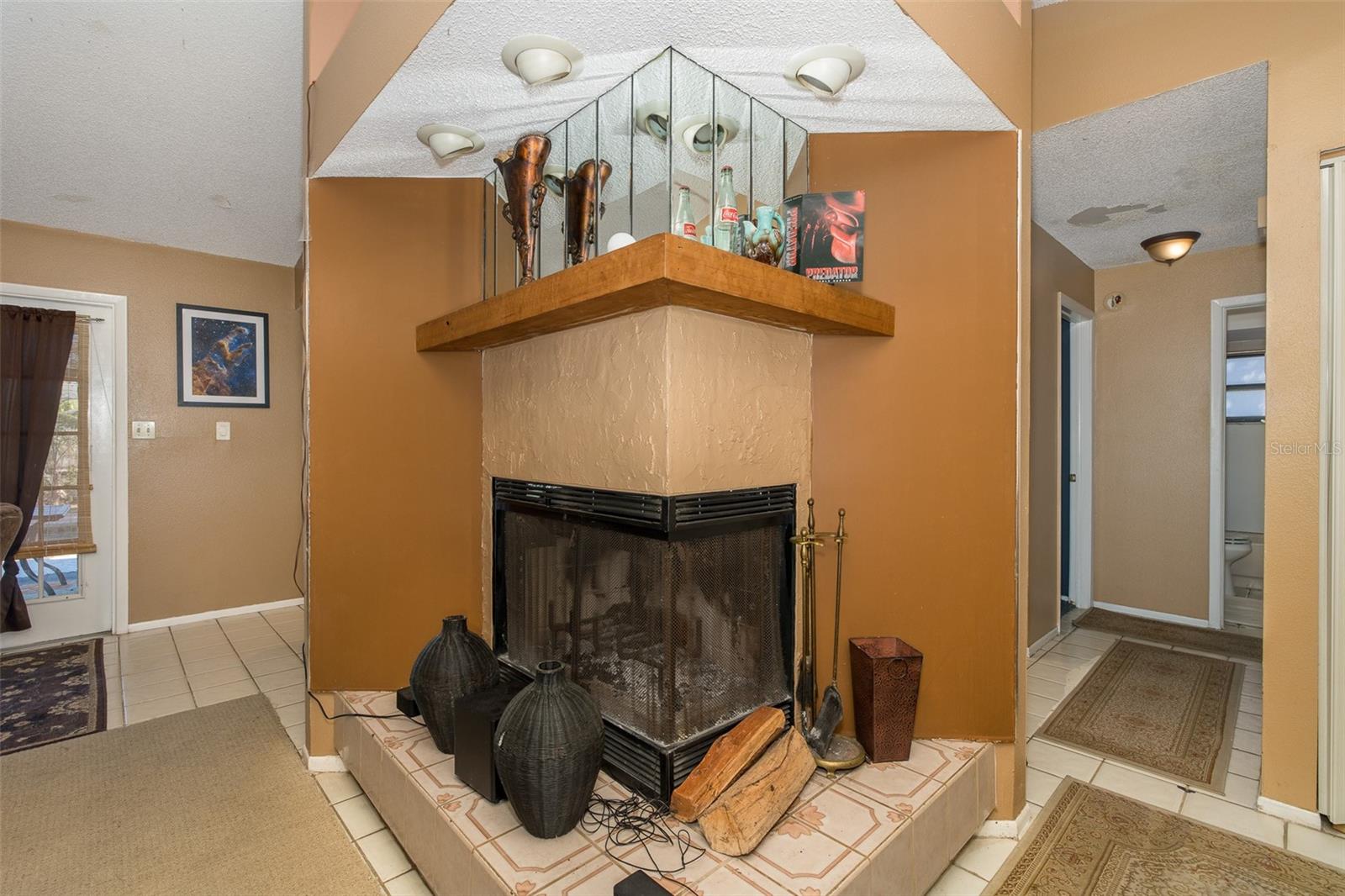 Living Room Fireplace