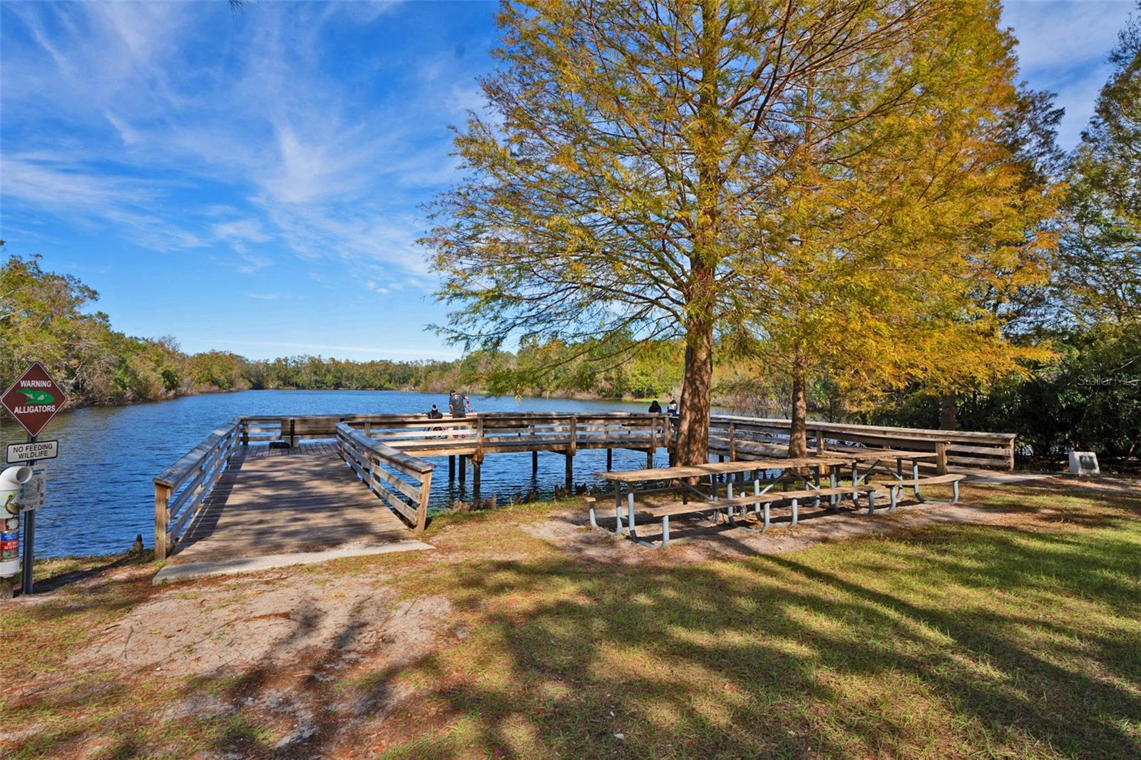 Fishing Dock at Al Lopez Park