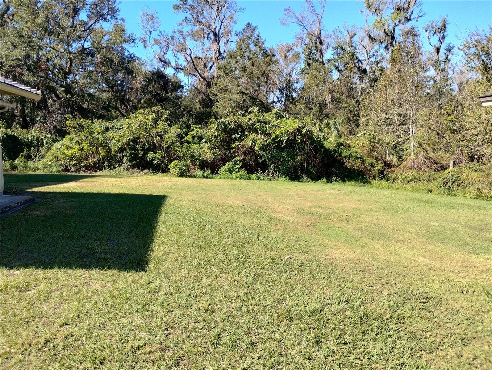 Spacious backyard has plenty of space for pool or fencing.