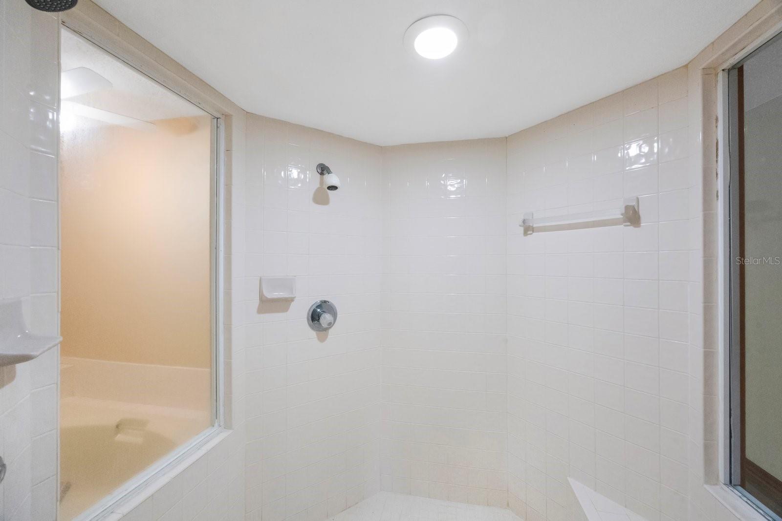 Master Walk-in Shower