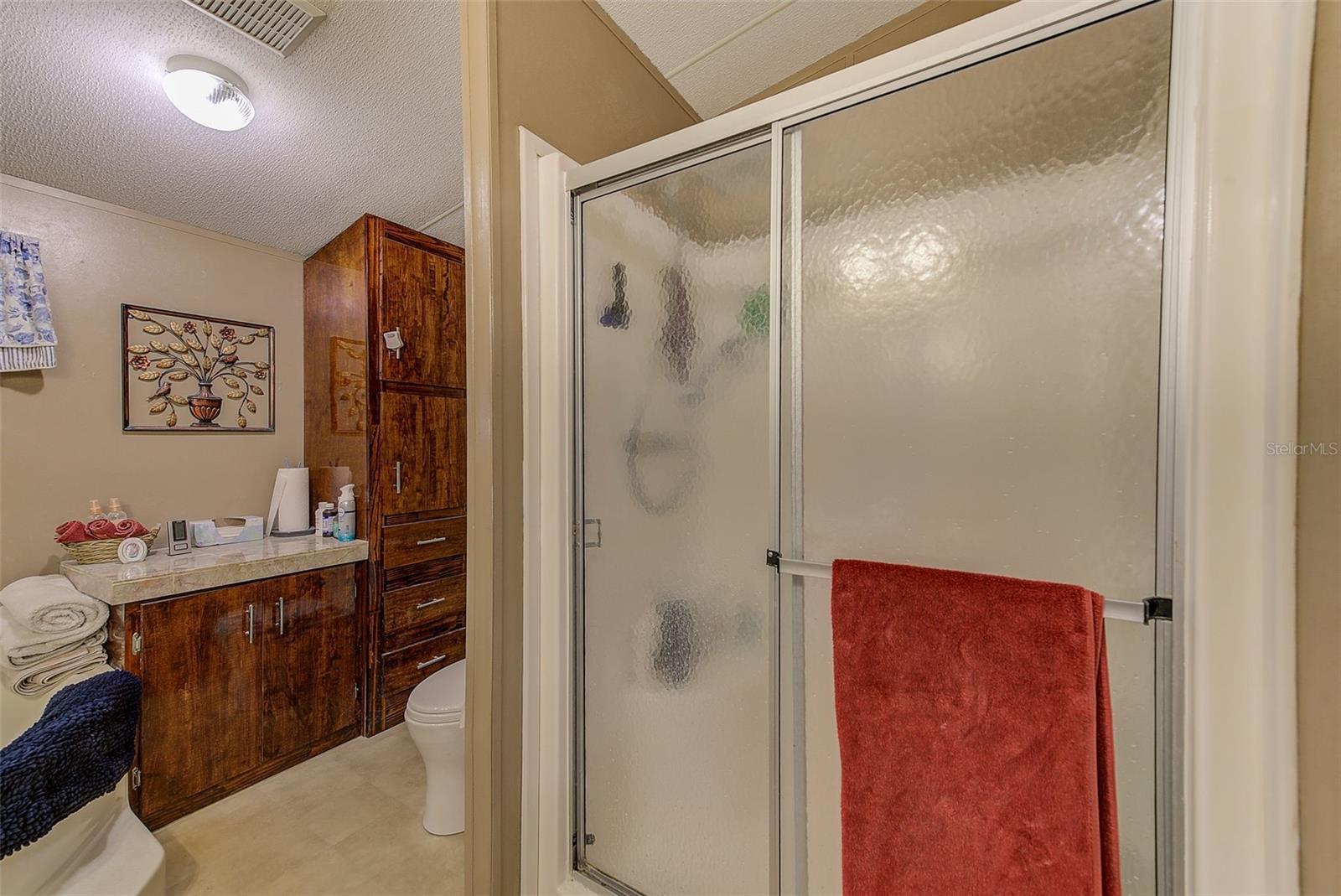 Primary Bathroom - Walk-in Shower