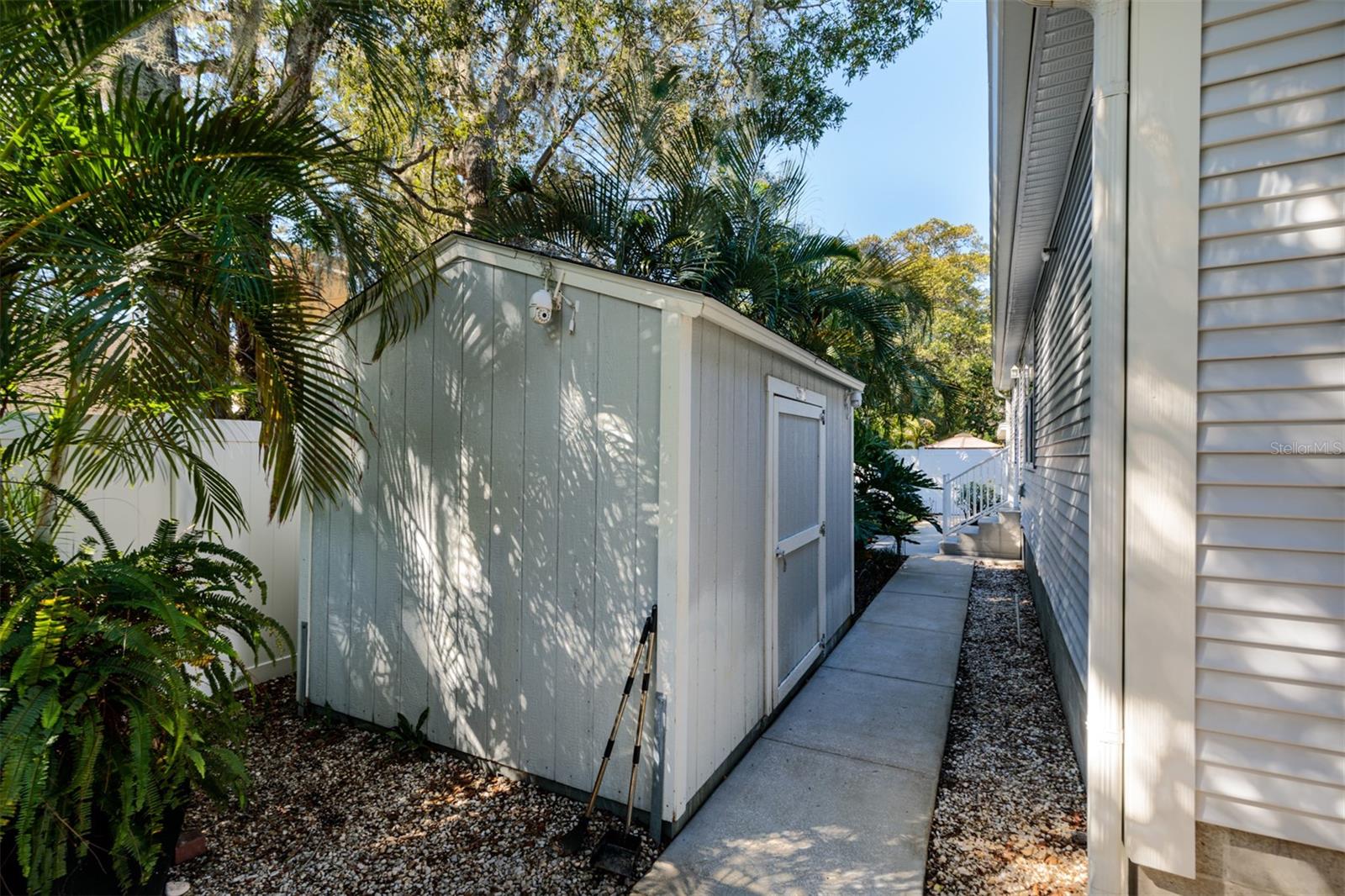 Back yard with shed