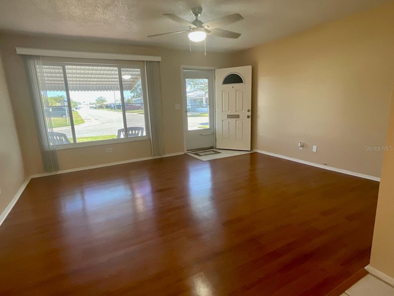 Living room front window and door