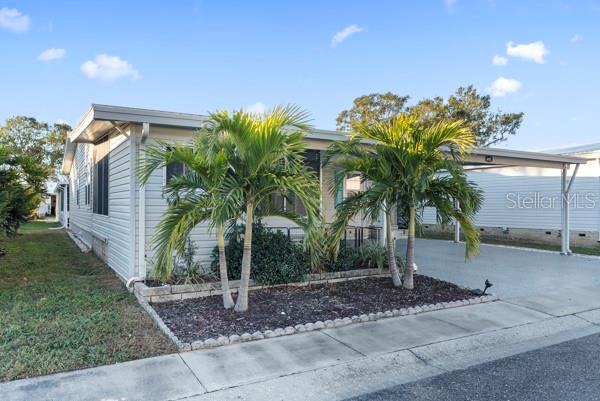 Front of Home Awesome Palm Trees