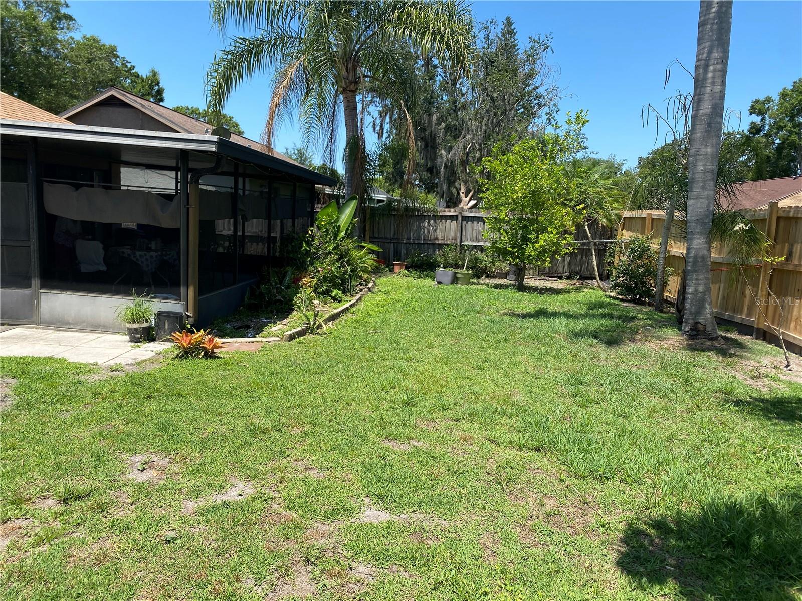 Back Yard Full