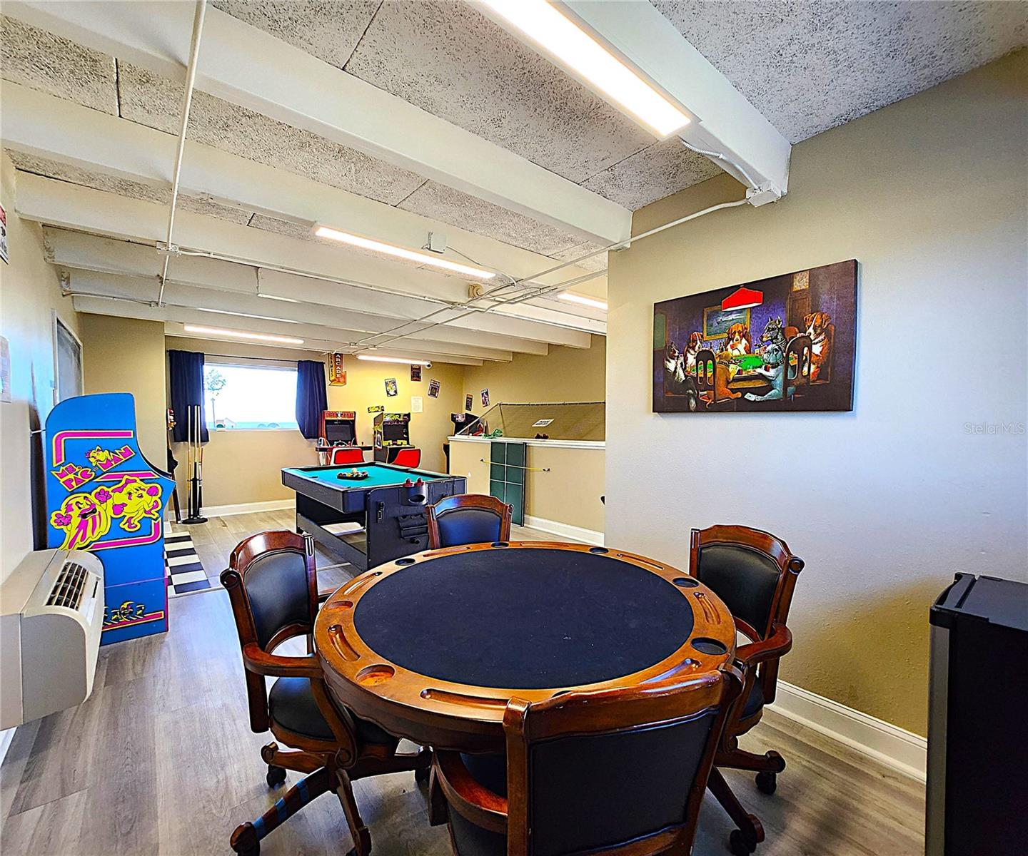 Community Entertainment/Game Room