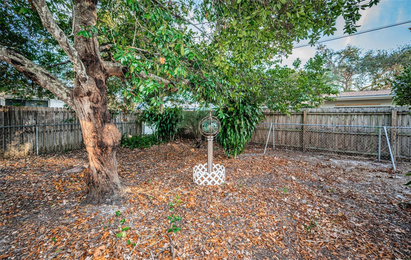 Fenced Backyard