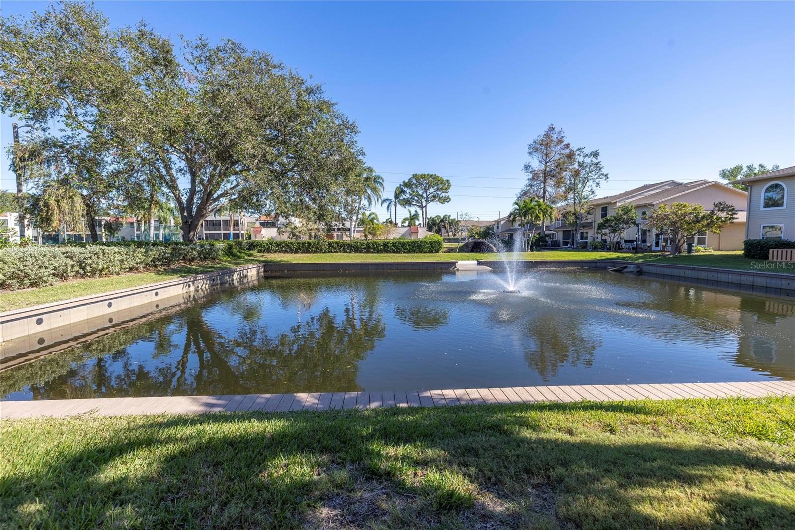 Backyard/Pond