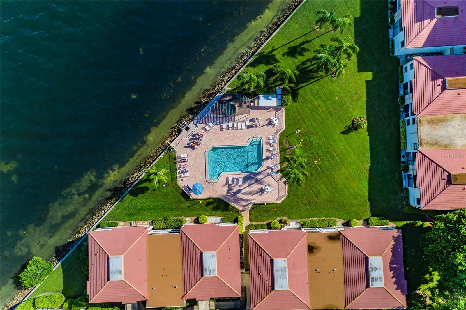 Aerial view of the heated pool & spa