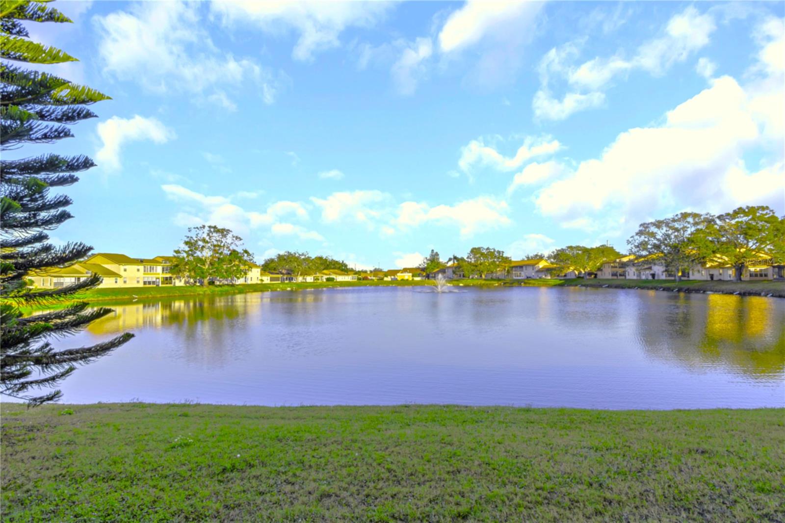 Pond View