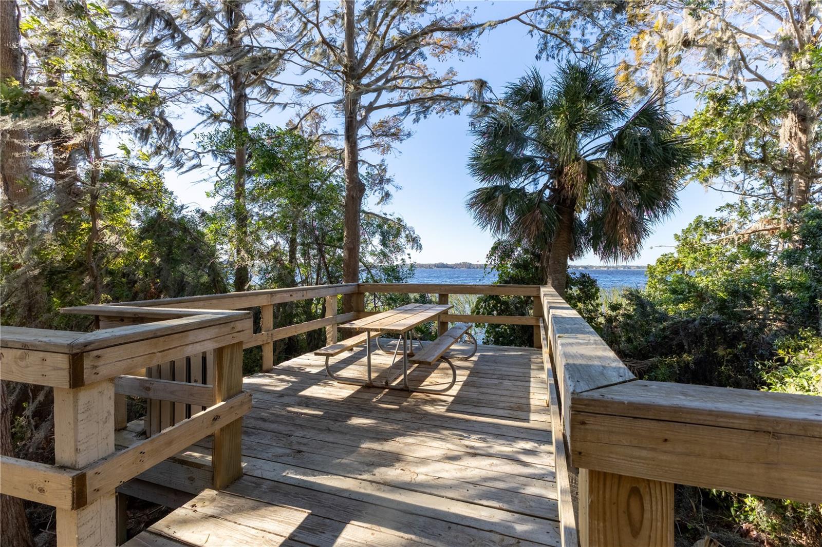 Picnic by Lake Tarpon