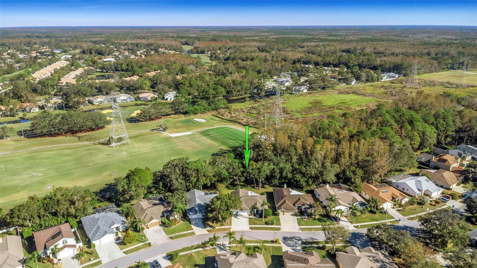 Located on a conservation lot that backs up to East Lake Woodlands Driving Range Tee Box area.