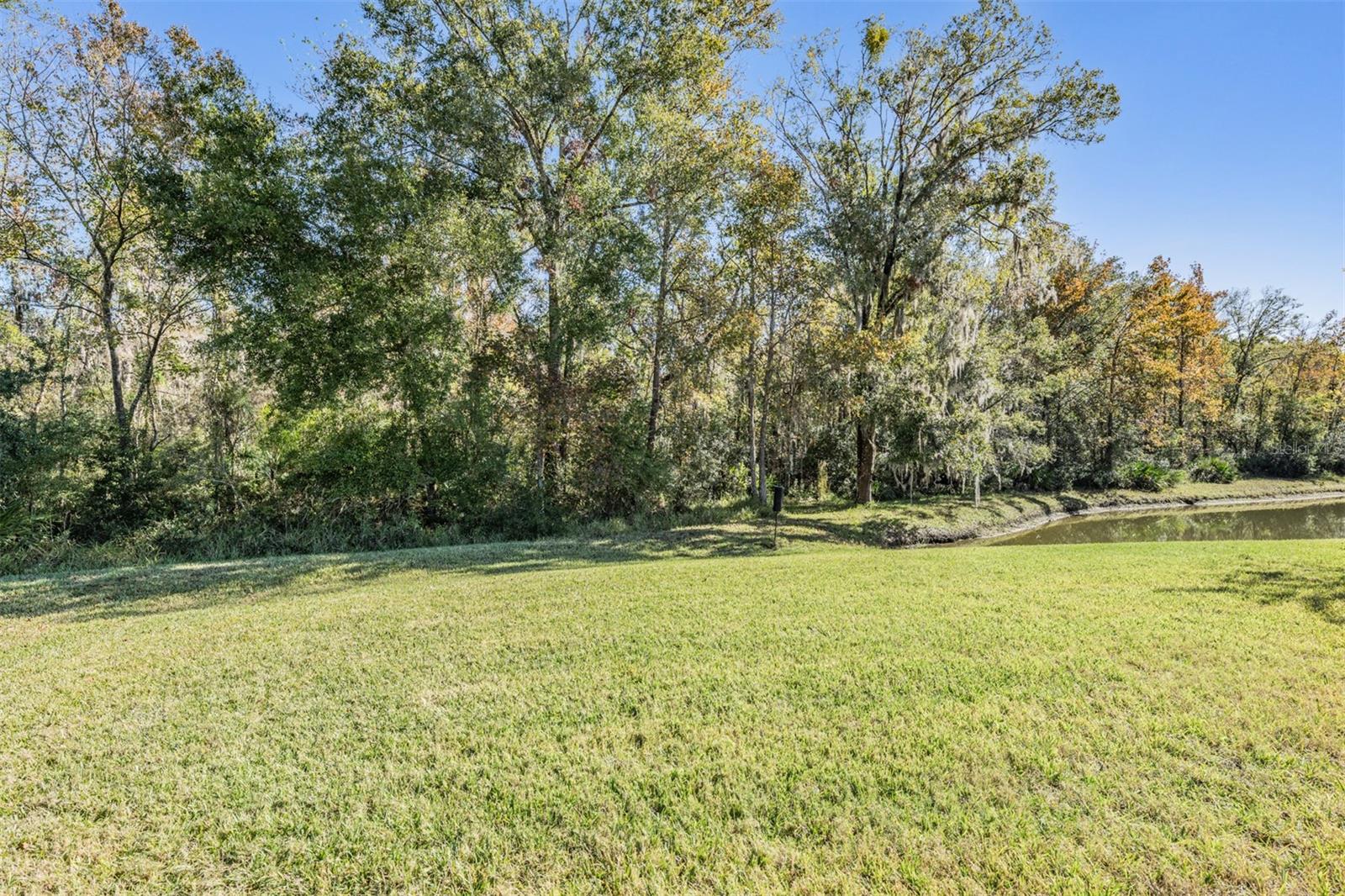 backyard view with conservation backdrop