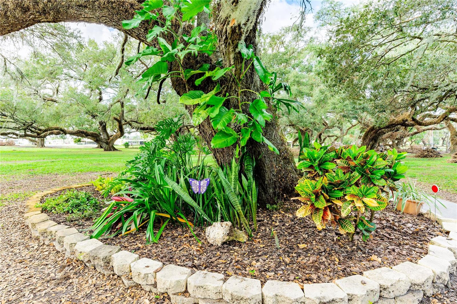 Community gardens throughout Betmar walking trails.