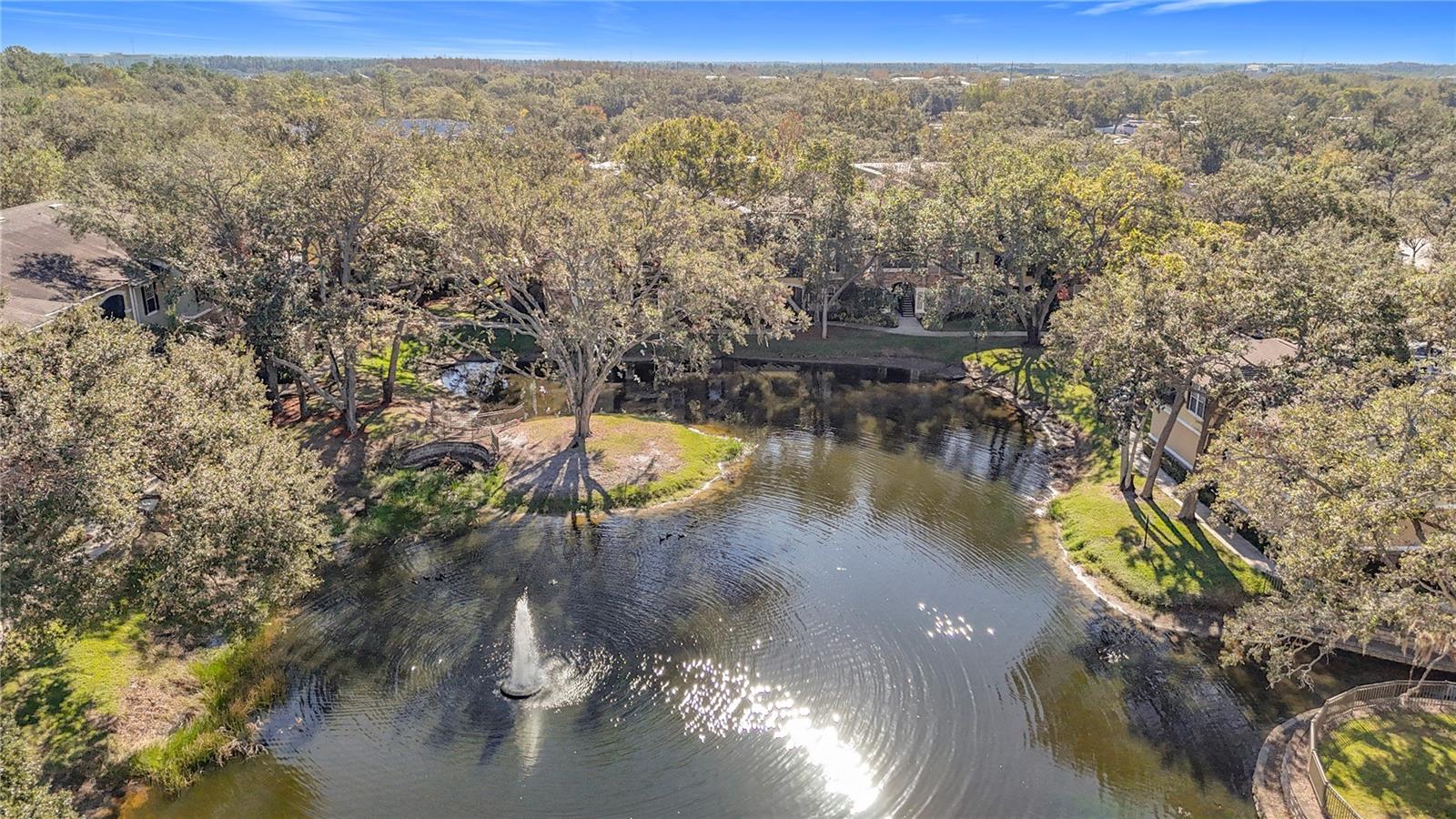 Aerial of same pond view from unit