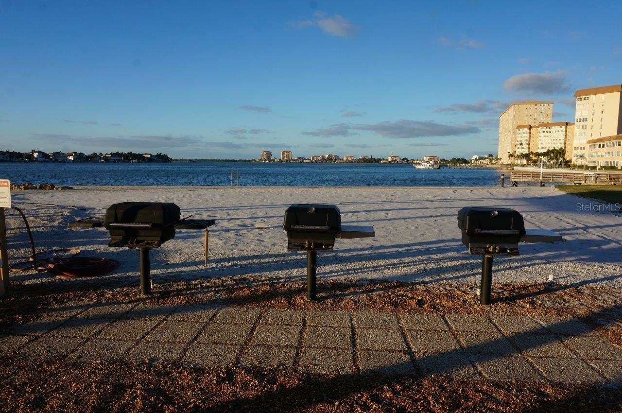 Grills and beach area