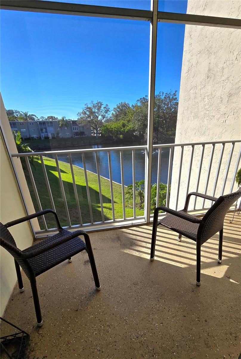 View from screened-in patio.