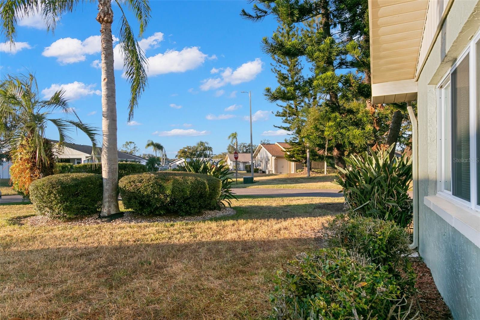 Exterior - Side Yard