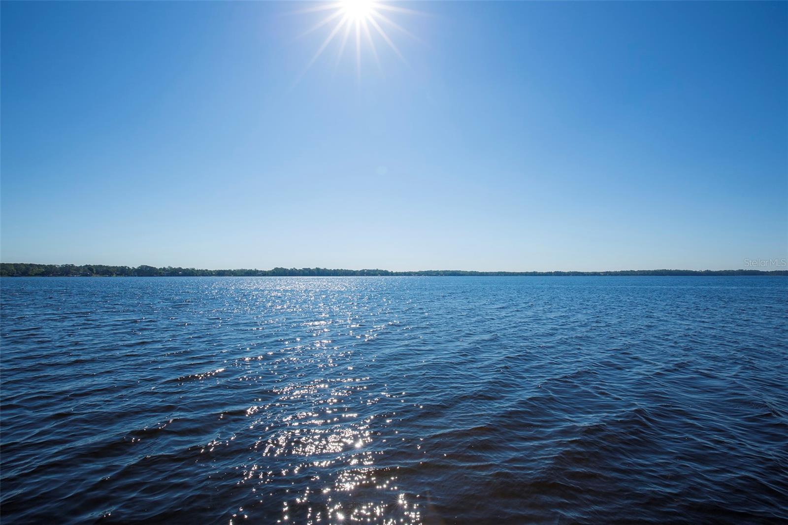 Lake Tarpon from John Chestnut Park- 255 acres of multiple  nature trails that sits adjacent to Lake Tarpon in Palm Harbor.